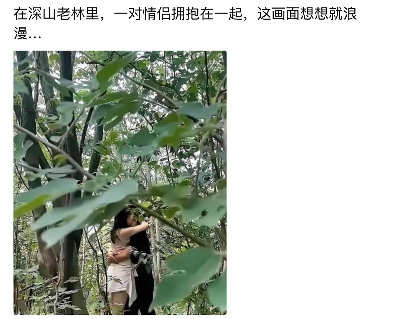 本以为是林间私密氛围感偶像剧，躲在枝叶后面独享二人甜蜜，谁知道这树叶跟没长一样，
