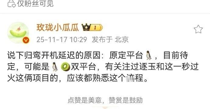 说张凌赫的剧都是平台争抢的