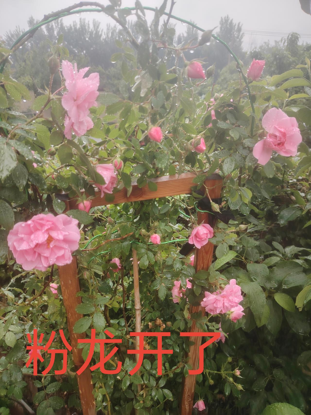 大家好，我是支持许姚追寻ZX的正义主播姗姗。就在今天，因为我直播的时候在直播