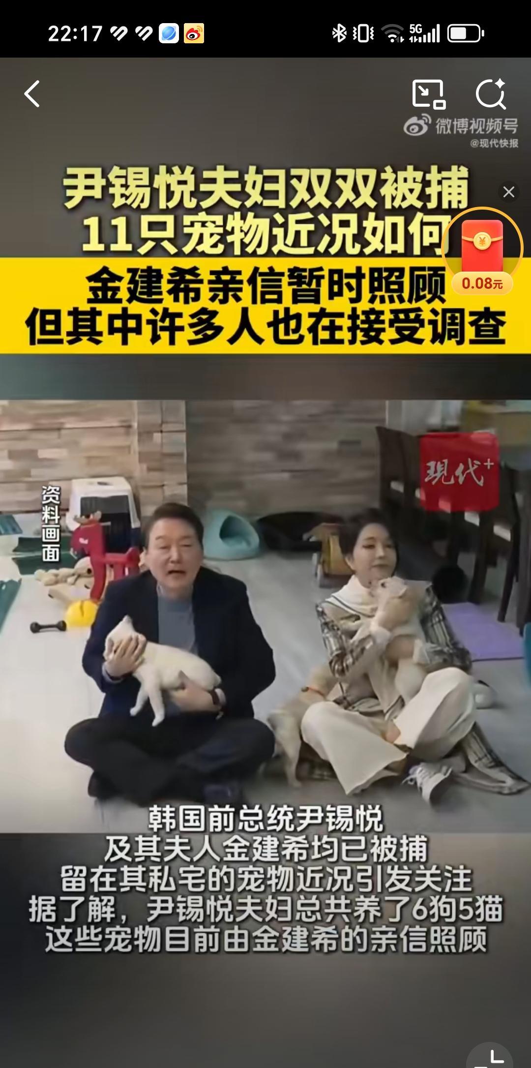尹锡悦和金建希夫妻养了6狗和5猫，我只能说两人太闲了，自己每天喂食和清理都得很长