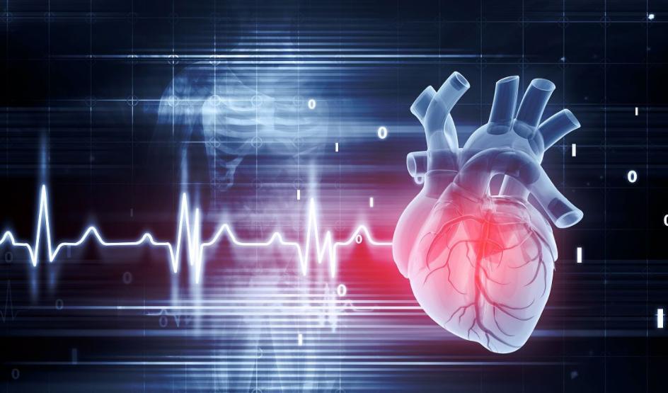 “心脏像台不停运转的小水泵，跳动快慢藏着健康密码。年过60的人，心跳多少次才