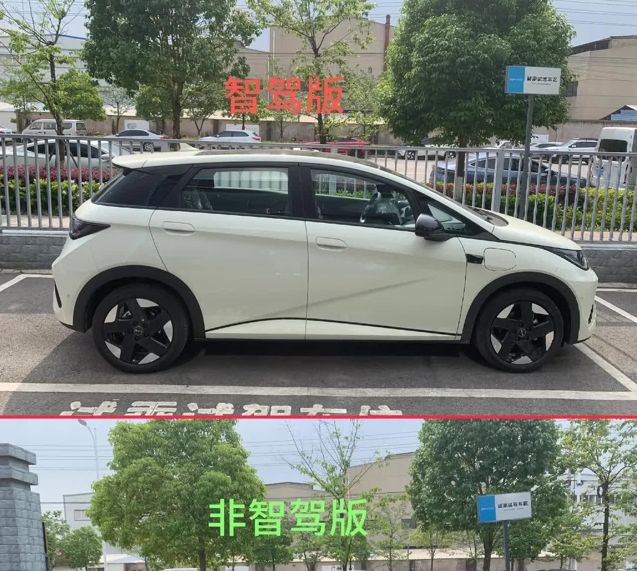 比亚迪海豚改款争议挺大设计越改越丑还是审美升级？老款海豚的圆润线条确实让