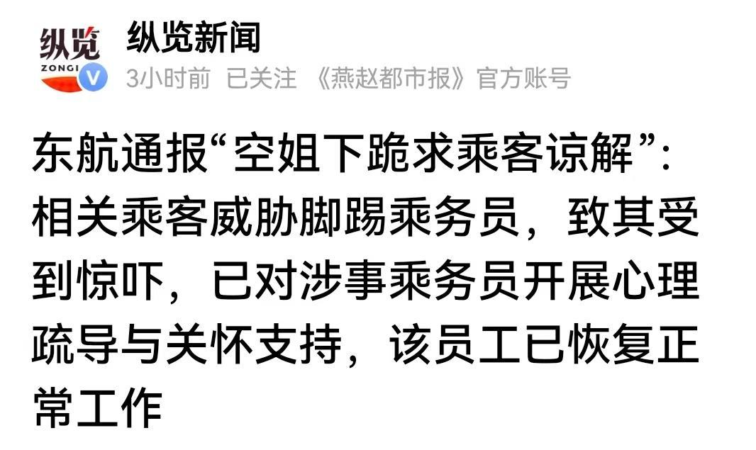 真解气，人民日报为下跪空姐讨公道近日东航空姐轻微蹭碰乘客手肘，当场诚恳