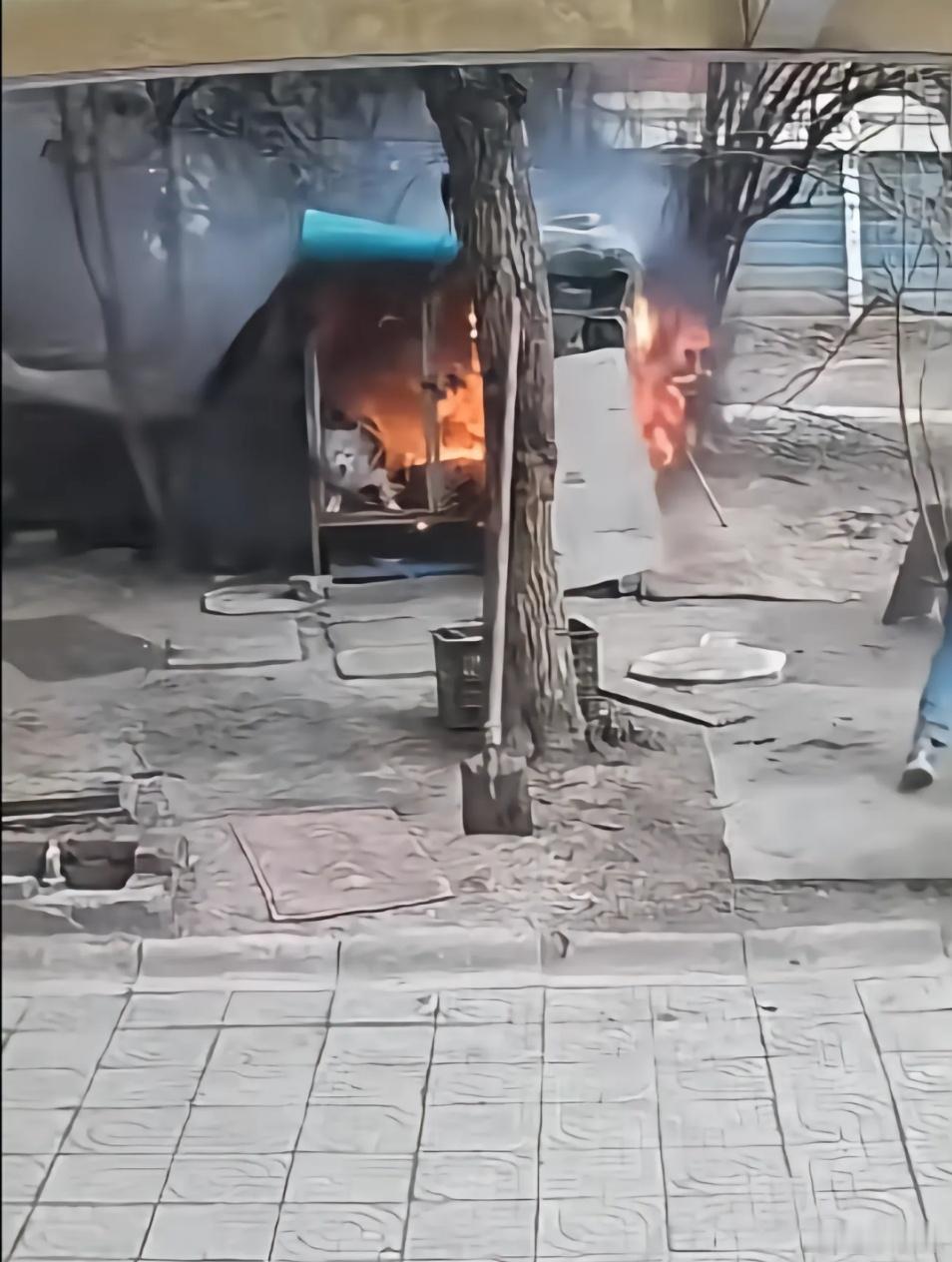 两男孩玩火烧死萨摩耶狗主人发声这个事情还是刚刚刷dy看到有博主为萨摩耶发声才