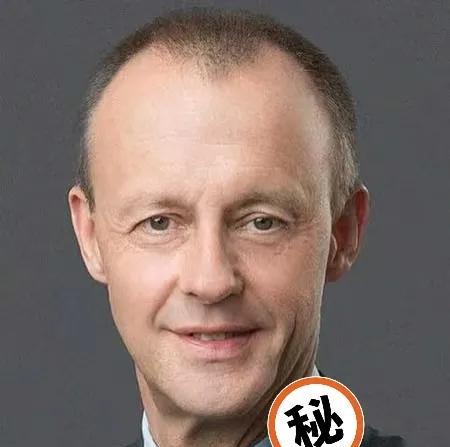 意料之外！德国竟然宣布了8月12凌晨，德国突然说要在8月13日召集各国领导人