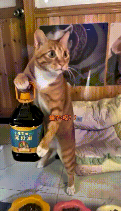 这个AI做的视频也太有意思啦！本来小猫安安稳稳看着地摊，一听见有人喊，立马直立身
