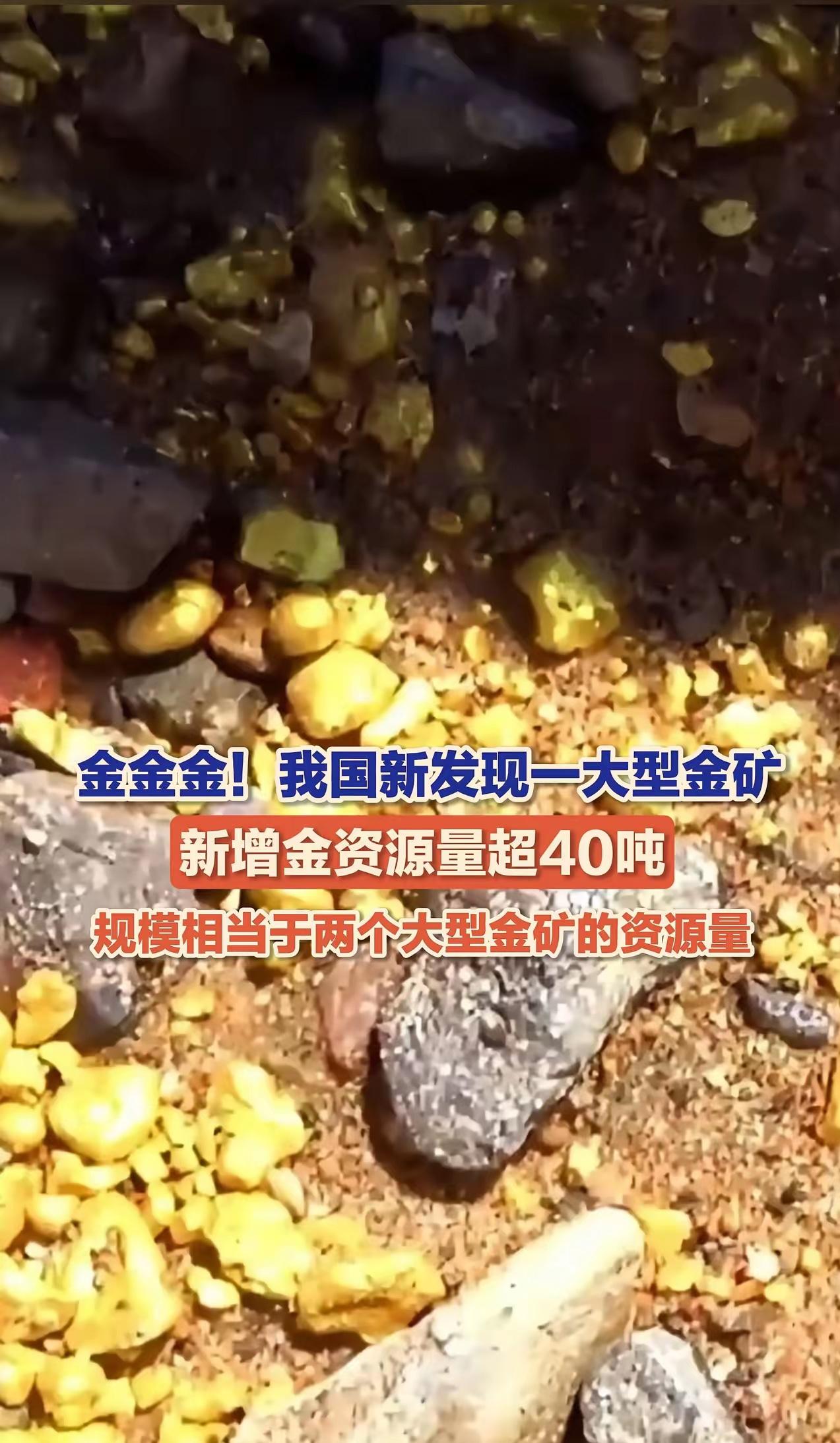 金价破4300美元，同事们还在借钱加仓，这波“炒金热”简直比当年“股疯”还上头！