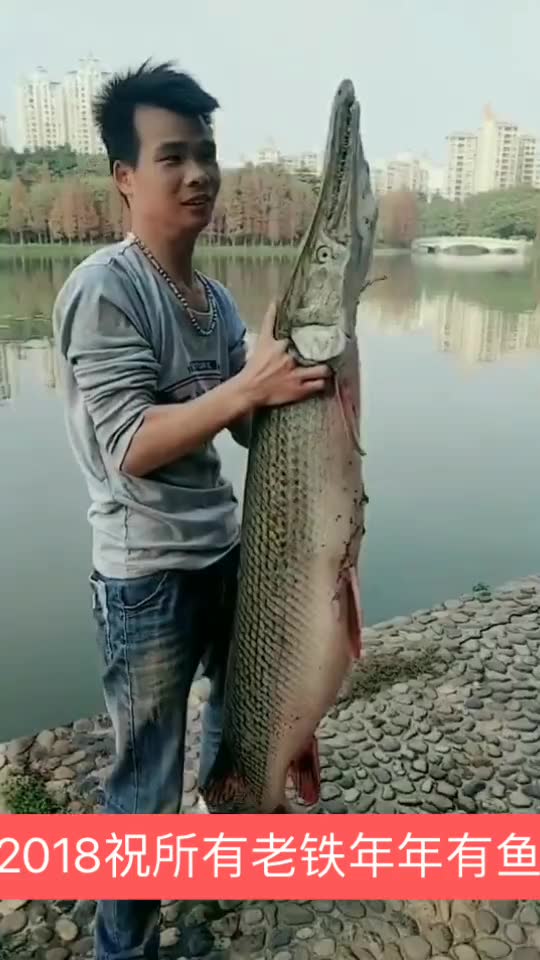 怎样钓草鱼视频教学 13833047818108210318.jpg?id=0