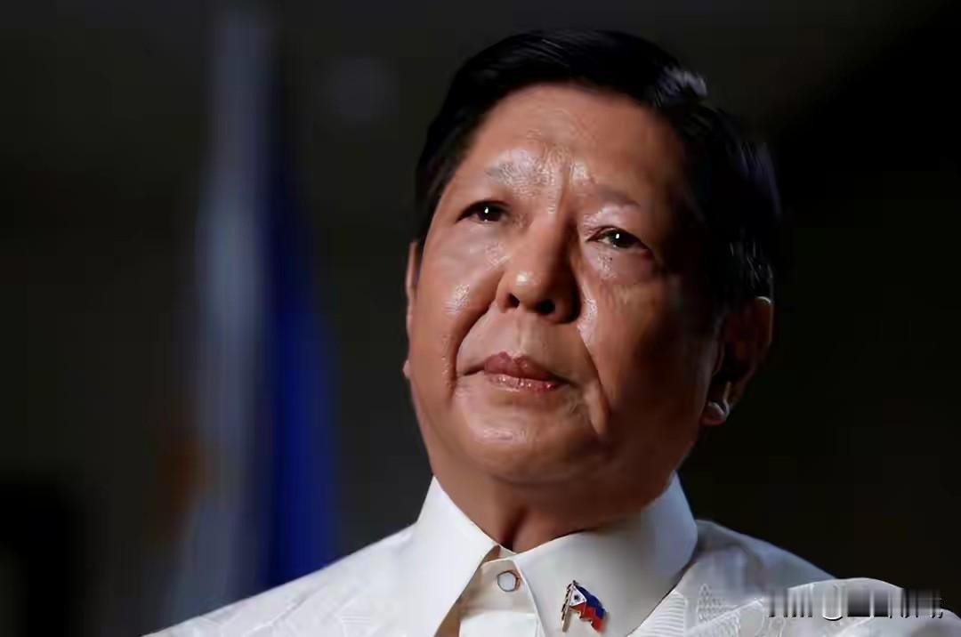 2025年11月底的菲律宾政坛，真是有种“暴风雨前的不安感”——参议院临时议长潘