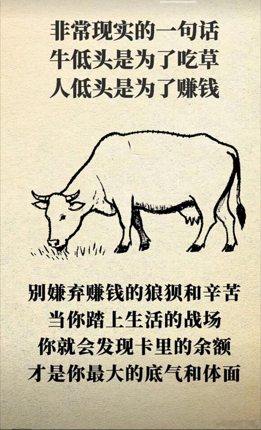 你不努力谁也给不了你想要的生活​​​