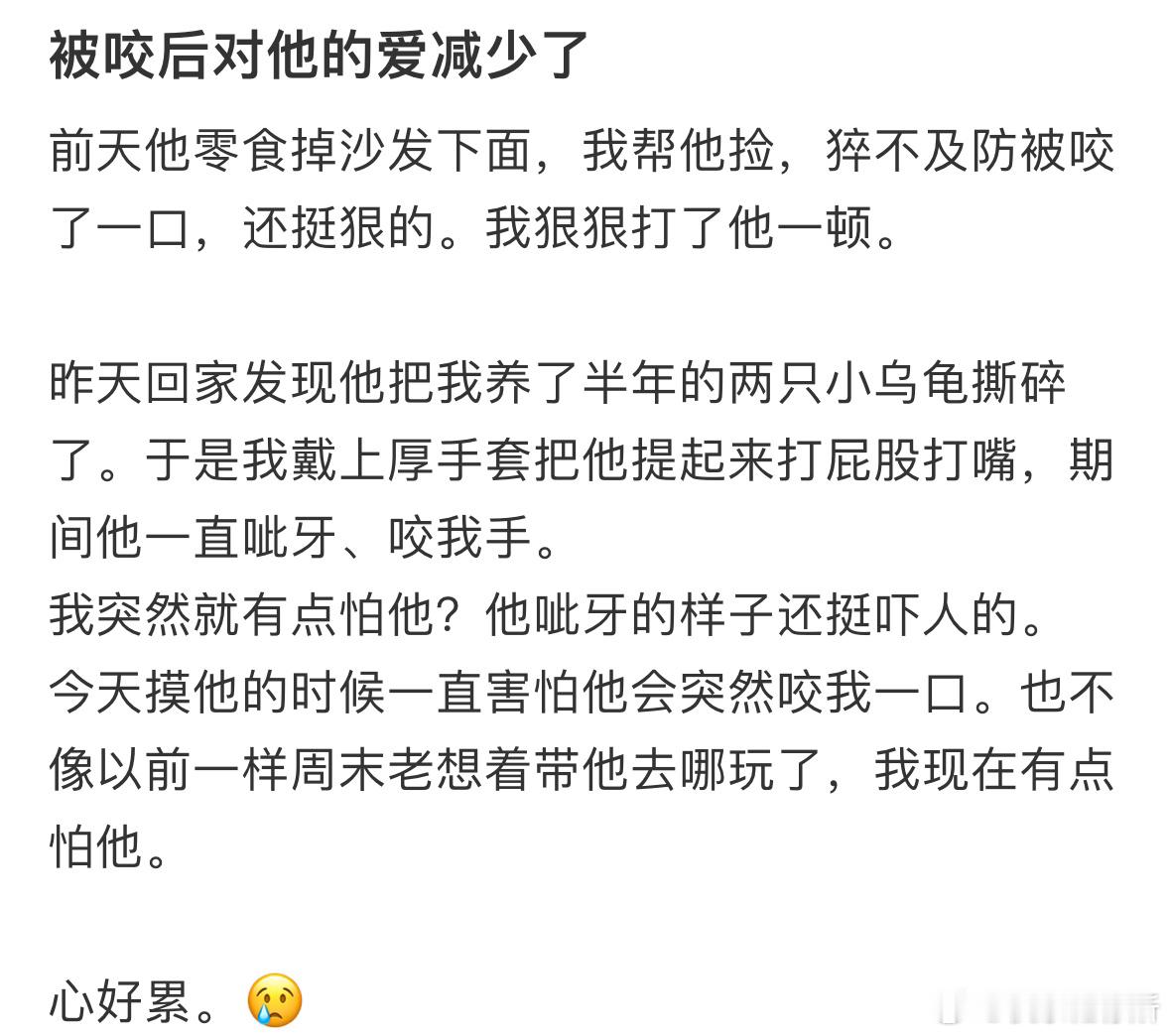 感觉对狗狗的爱减少了怎么办🥲​​​
