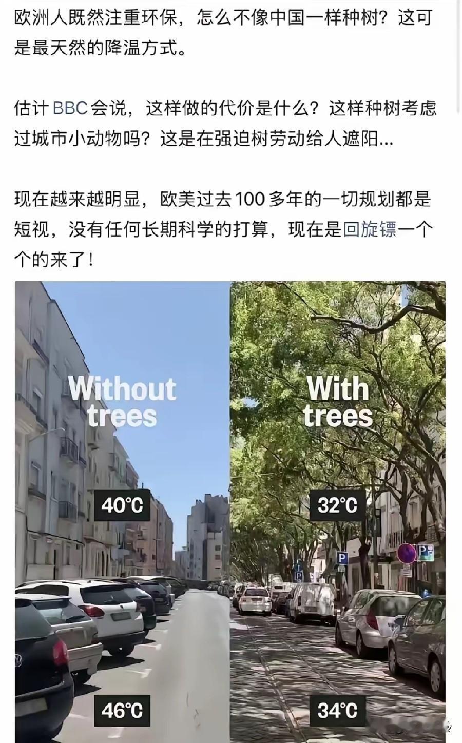 最天然的空调，被他们嫌弃了一百多年，树种的多，确实好！对他们来说高温是一种自然
