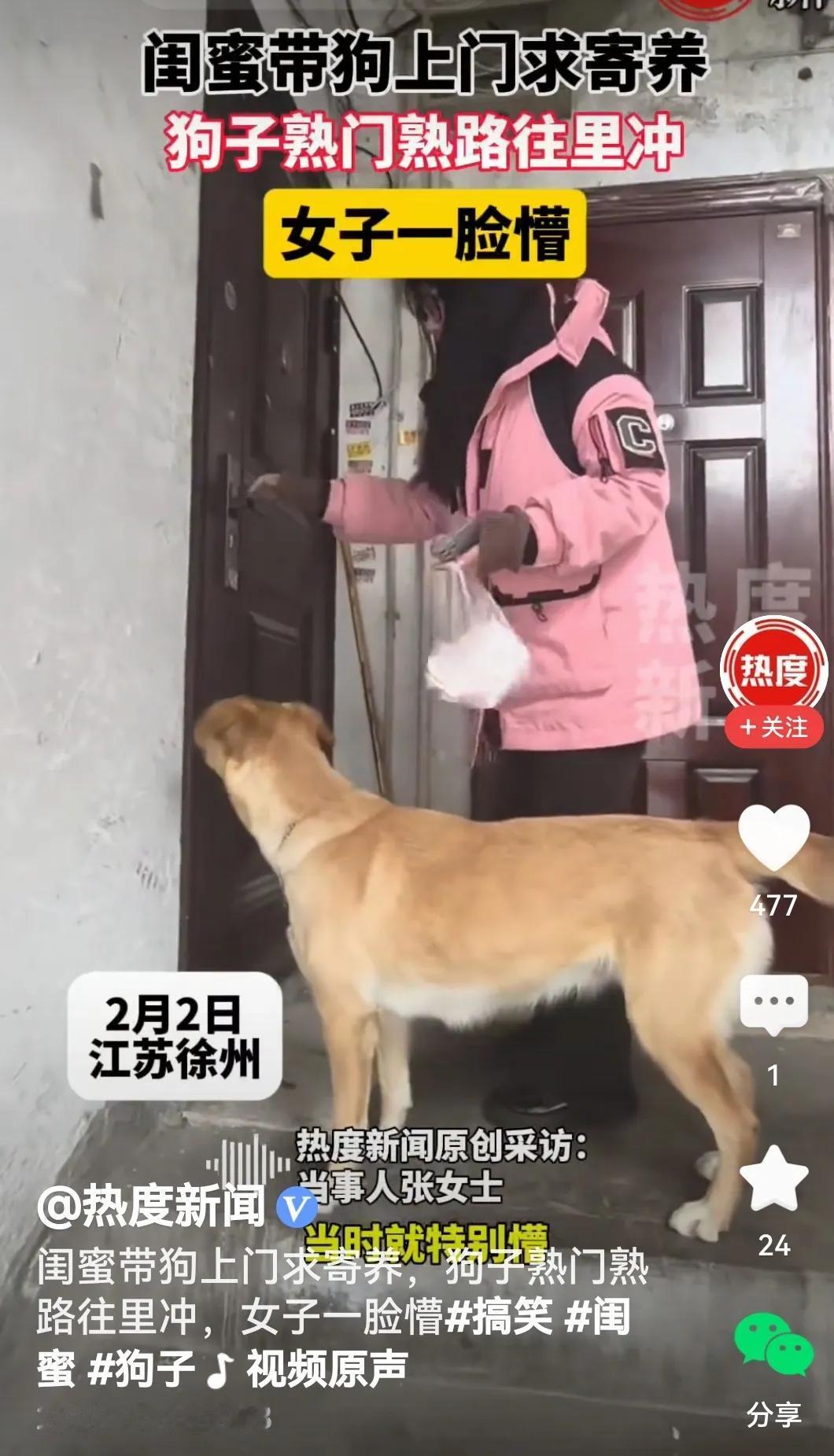 狗熟练往里冲哦！女子或许要出门，狗子没人照料咋办呀？送闺蜜家吧！到了闺蜜家，闺