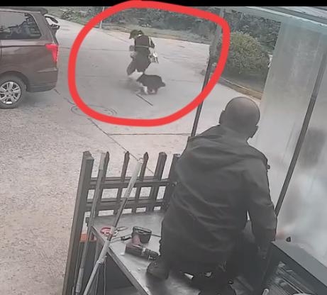 母子路遇恶狗袭击，旁边装修房子的大叔挺身而出，合力击退了恶狗。事发山东某地，母子