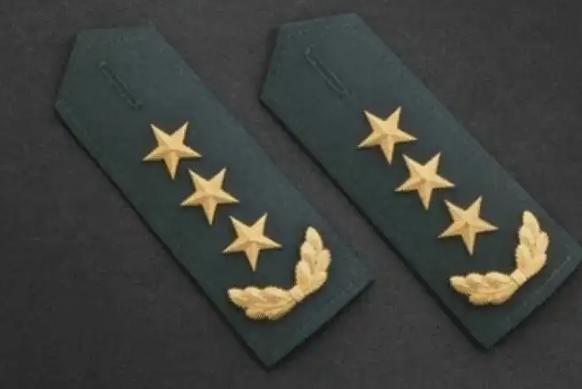 近期，军队内部大刀阔斧，陆续拿下了众多肩扛“三颗星”的“大老虎”，或许意味