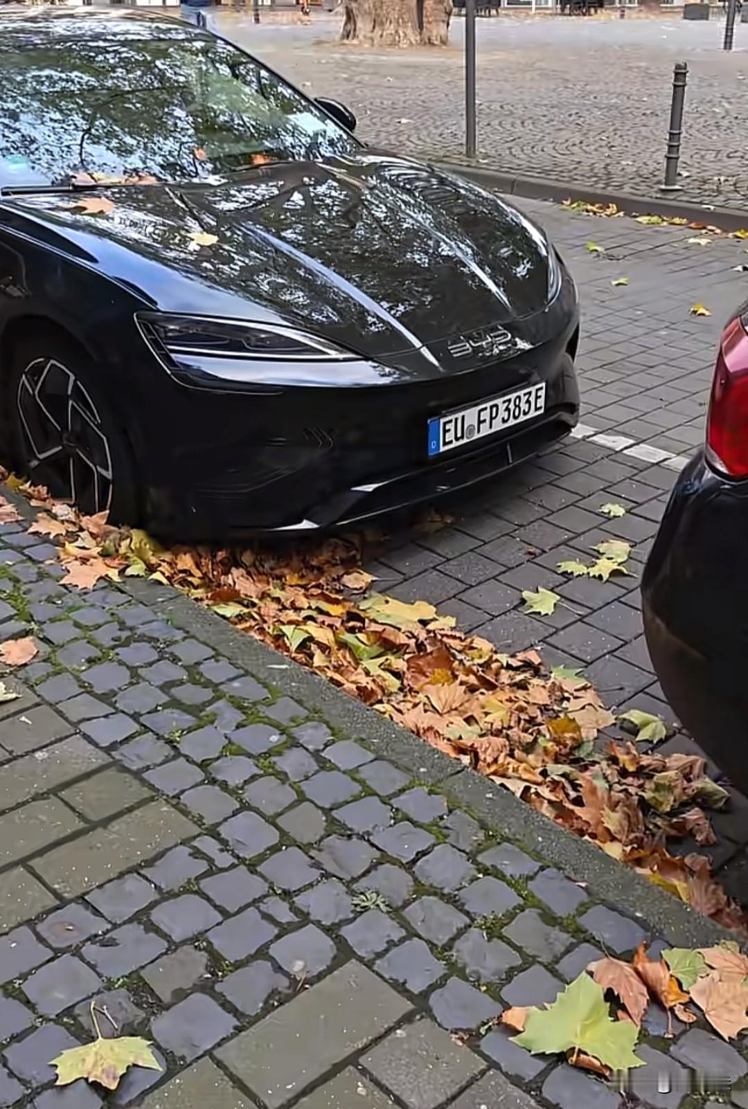 这是哪个国家的车牌，还挺好看的。在国内不受待见的比亚迪海豹，没想到在国外占比这么