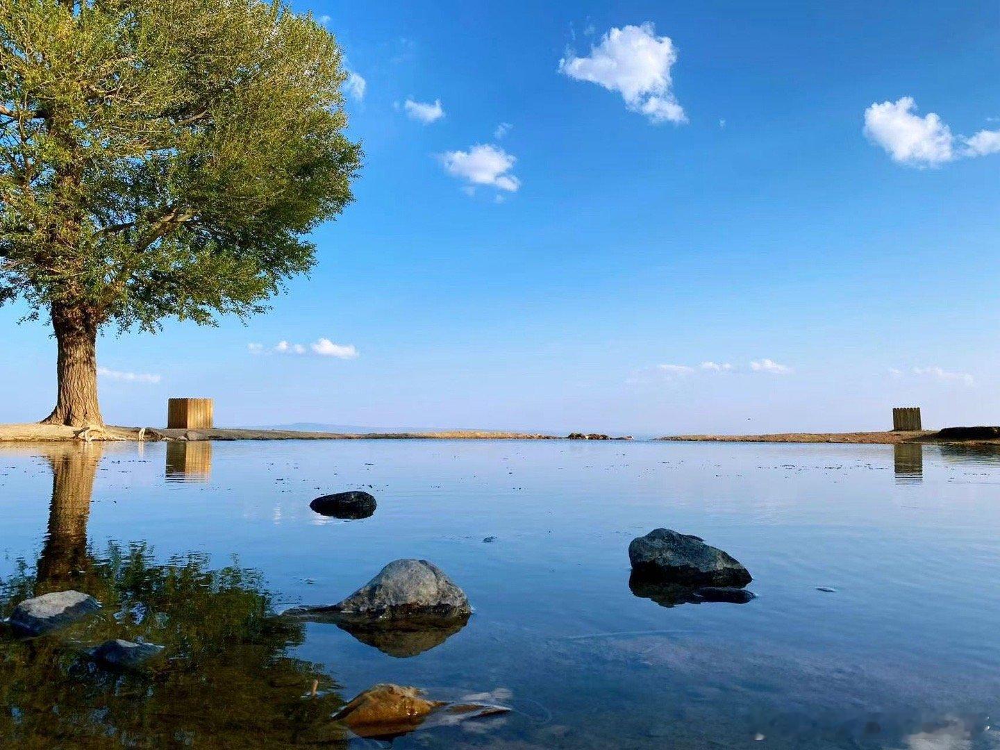 黄土高原变成了抹茶千层救命！黄土高原这波“绿装升级”也太绝了，层层绿意像极了刚