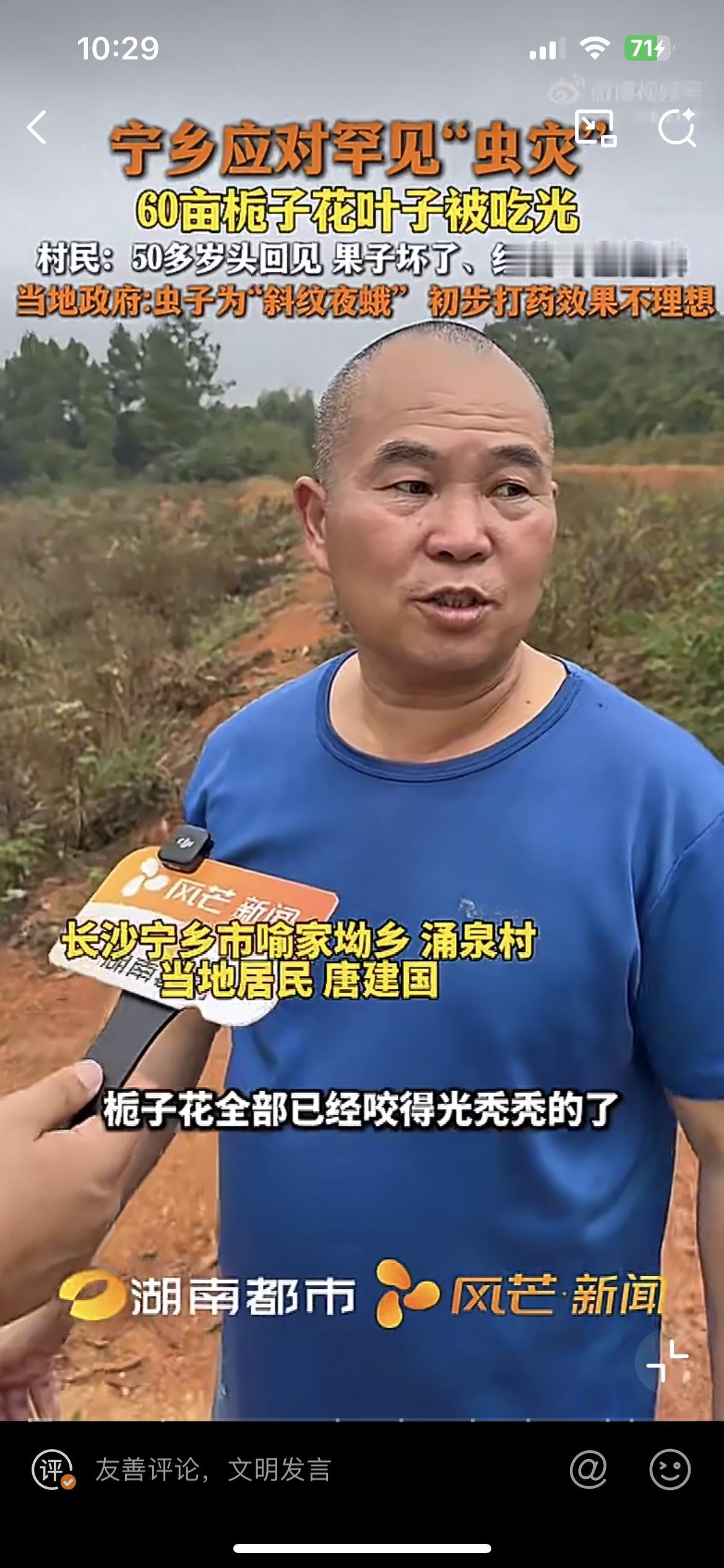 长沙宁乡一村民反映，他种的60亩栀子花被害虫吃光，一片光秃秃，造成这种后果的害虫