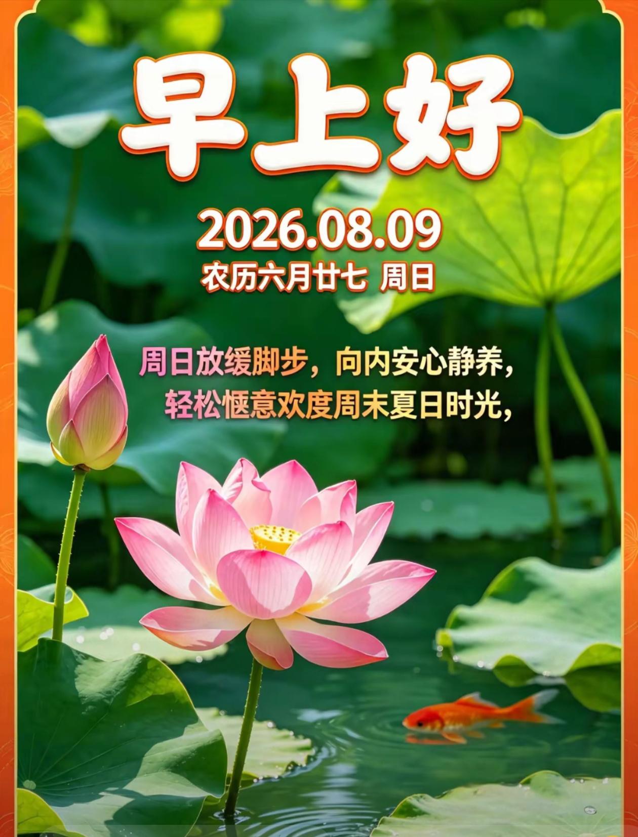 2026./8月9日，周日早安，露清秋意阔，身静福缘绵朝