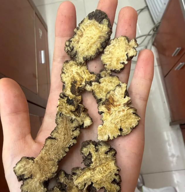 石菖蒲加1味，全身痰瘀堵窍都害怕，耳鸣脑鸣都能用大家好，我是陈玉龙教授！耳鸣脑