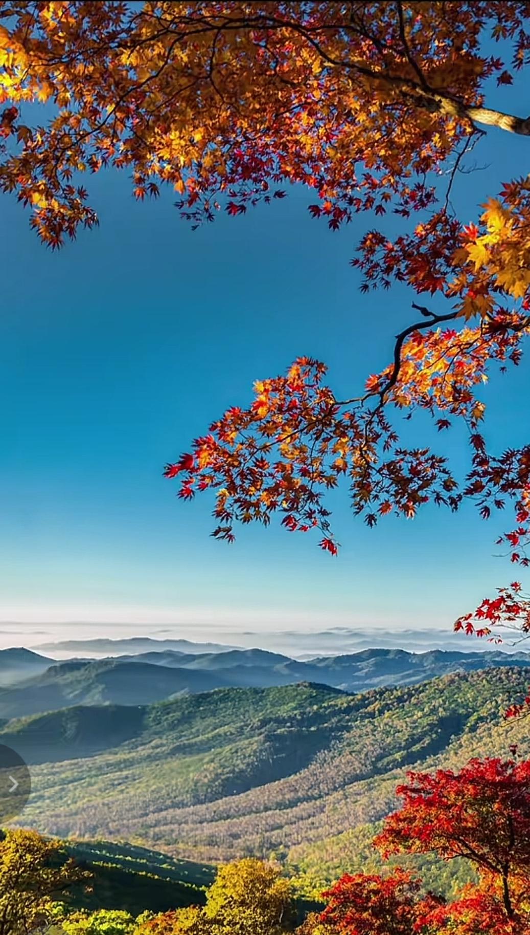 侄女结婚了，大嫂两口子笑得勉强，侄女婆家的人却笑开了花。侄女今年30岁，每月