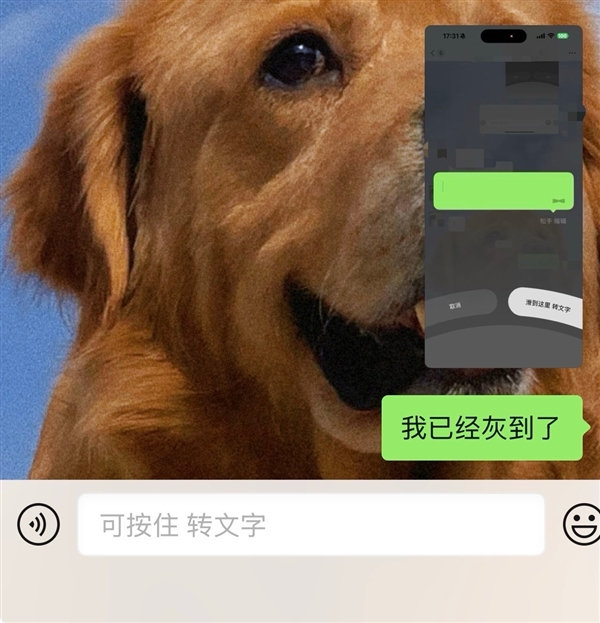 【 这次更新的核心变化在于聊天输入框的设计调整，以往占据主导的麦克风按...