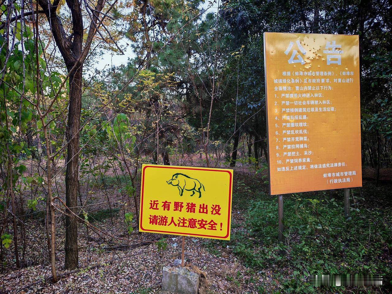 昨天我去蚌埠龙子湖东岸的曹山转转，发现在通往汤和墓园的山间小路旁，竖了一块提醒的