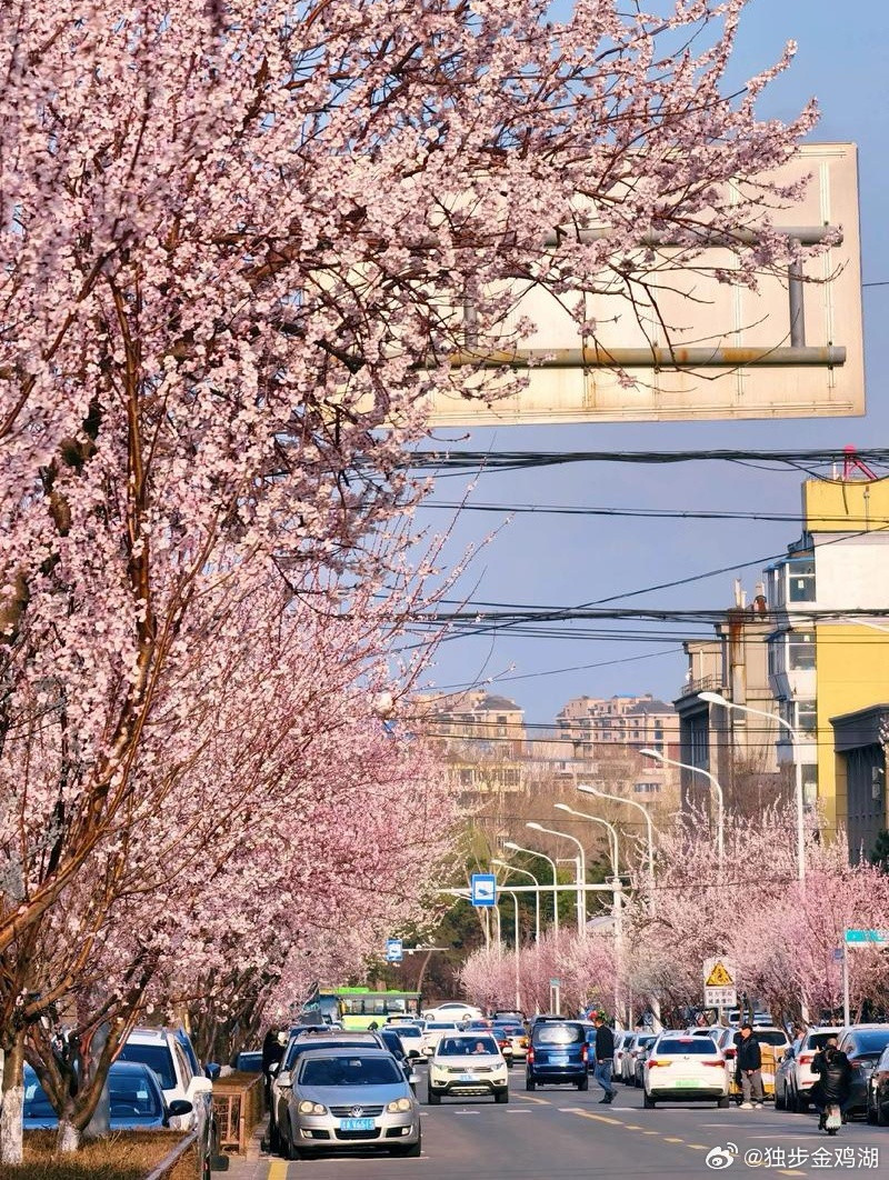 心里话人生这场远行，重要的并非终点何在，而是每一步是否走得