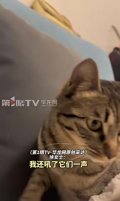 万万没有想到，云南昭通，一女子因姨妈期肚子疼，就在厕所里蹲着缓一踩，可就在她难受