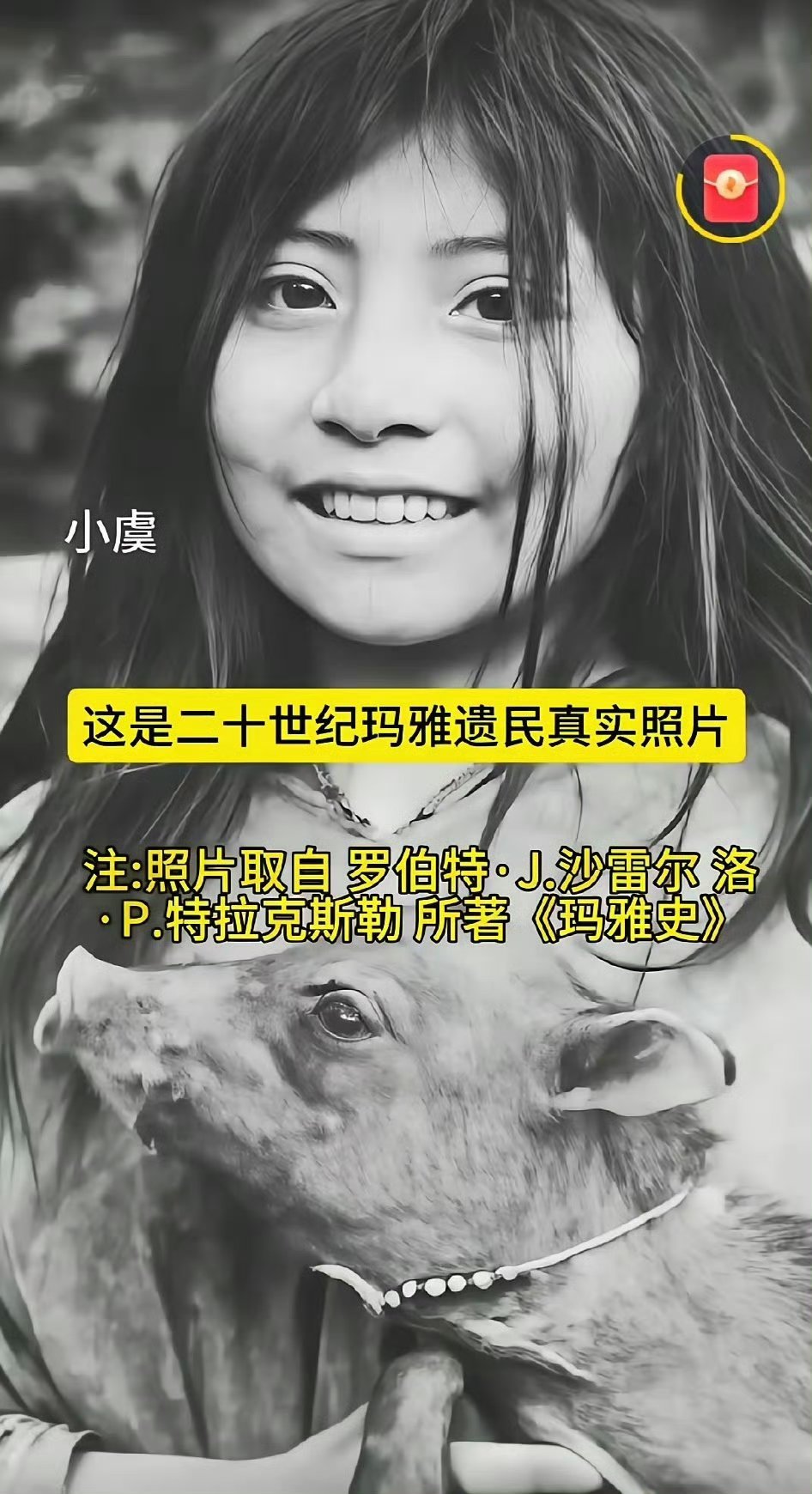 我相信玛雅人是被人为灭绝的