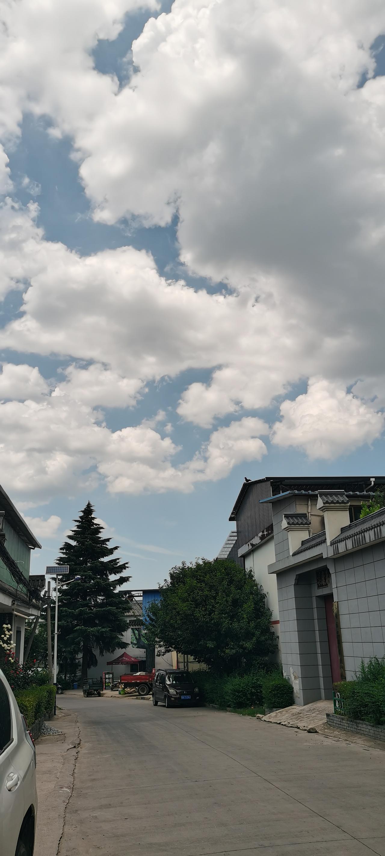 ​（拍摄于西安市长安区王莽镇清水头村）