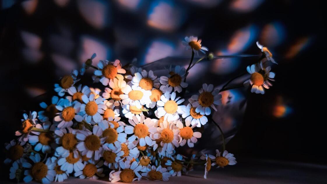 5月12日-5月15日,逆境变顺境,喜迎大运的生肖,开启新篇章