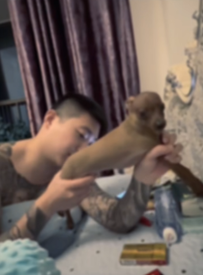 我貌似看到了一个比狗都狗的人