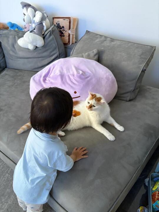 说好给我吃，又不给我吃