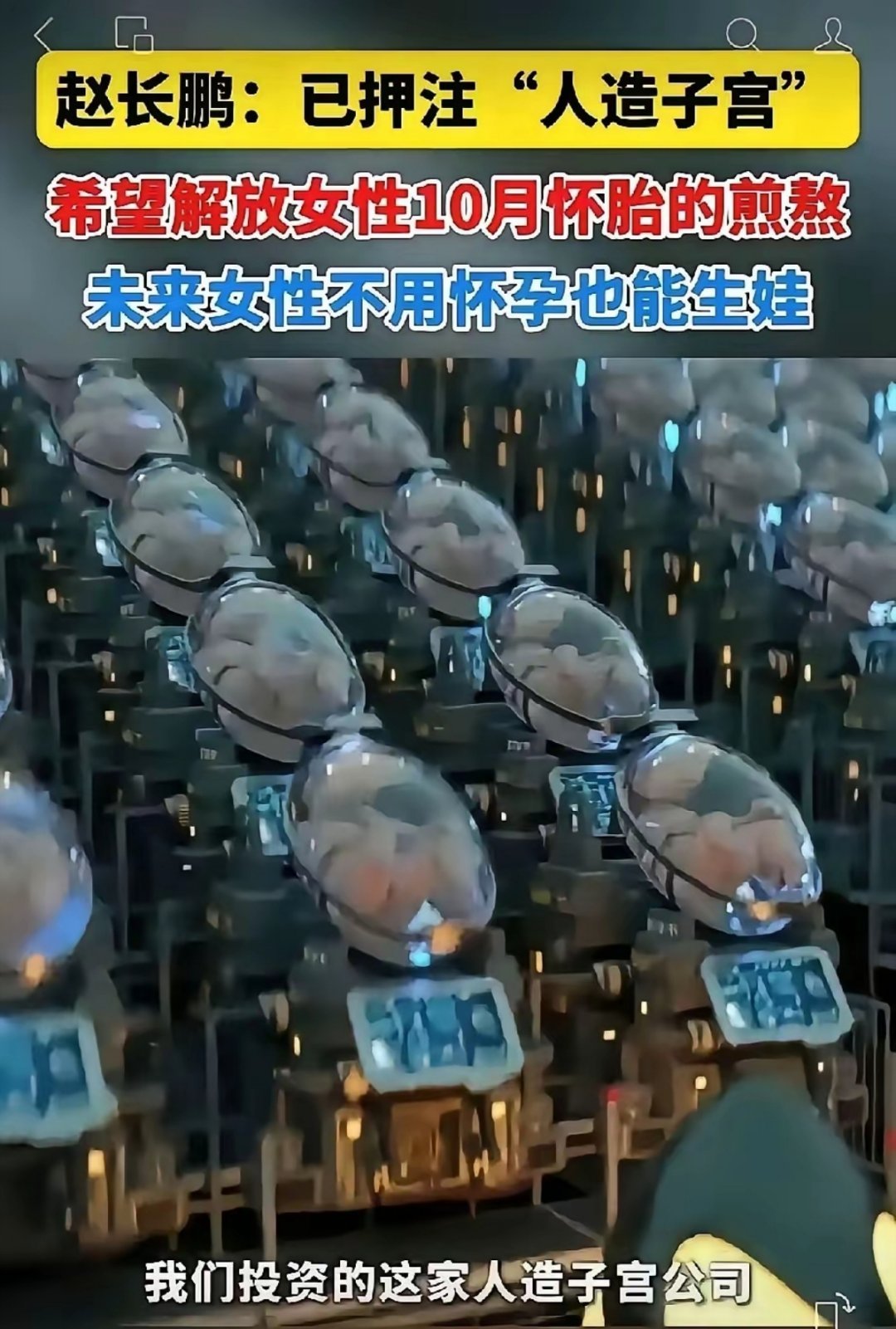 如果人造子宫成功了，世界会怎样？