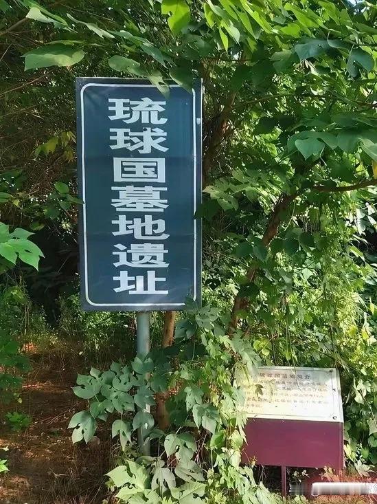 身为中国人不能让琉球再一次失望晚清，琉球遣使到北京请求大清救助，大清日落孙山