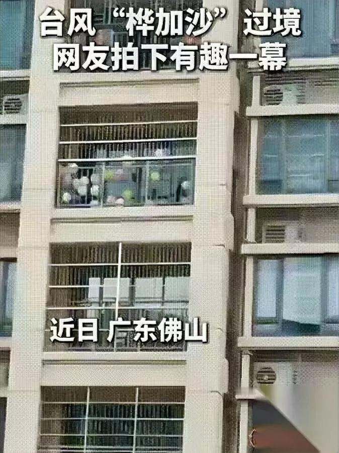 台风来了别慌！这招比关窗更管用广东佛山一男子应对台风“桦加沙”，竟在阳台
