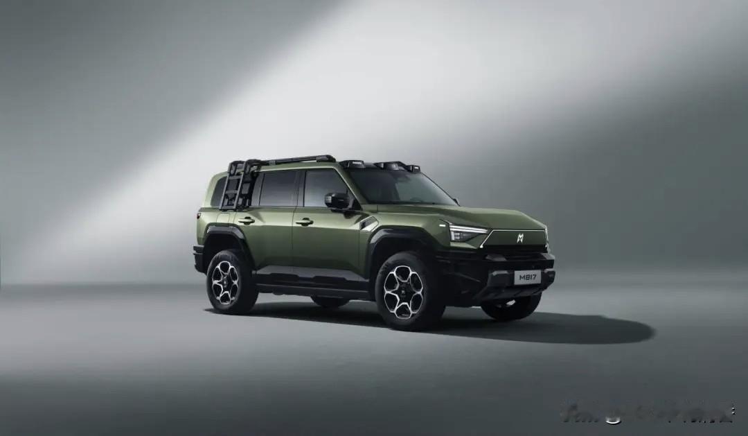 伤害性不大，侮辱性极强！当14.05亿国人都以为国产豪华电动越野SUV‌市场已被