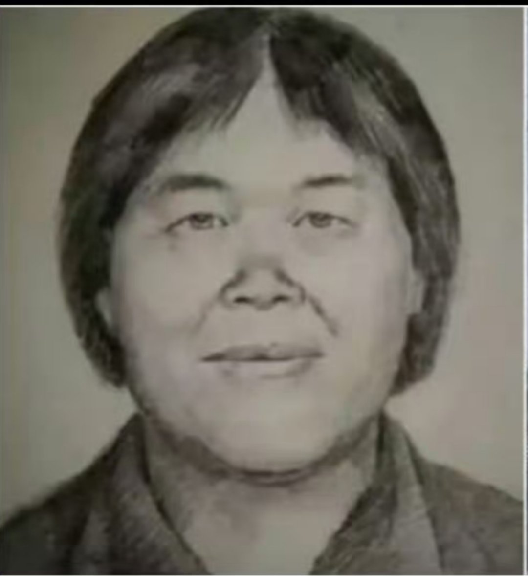 梅姨正脸哇靠，这跟画像出入太大了，难怪一直抓不到，想想住在她附近的那些有小孩的家