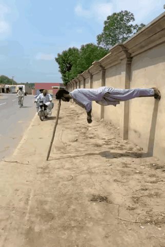 原来真相是这样，真是太奇怪了