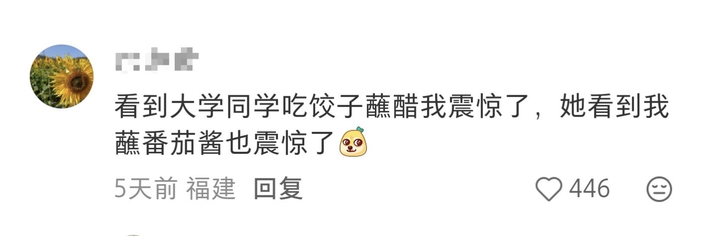 饺子蘸什么？番茄酱？？！