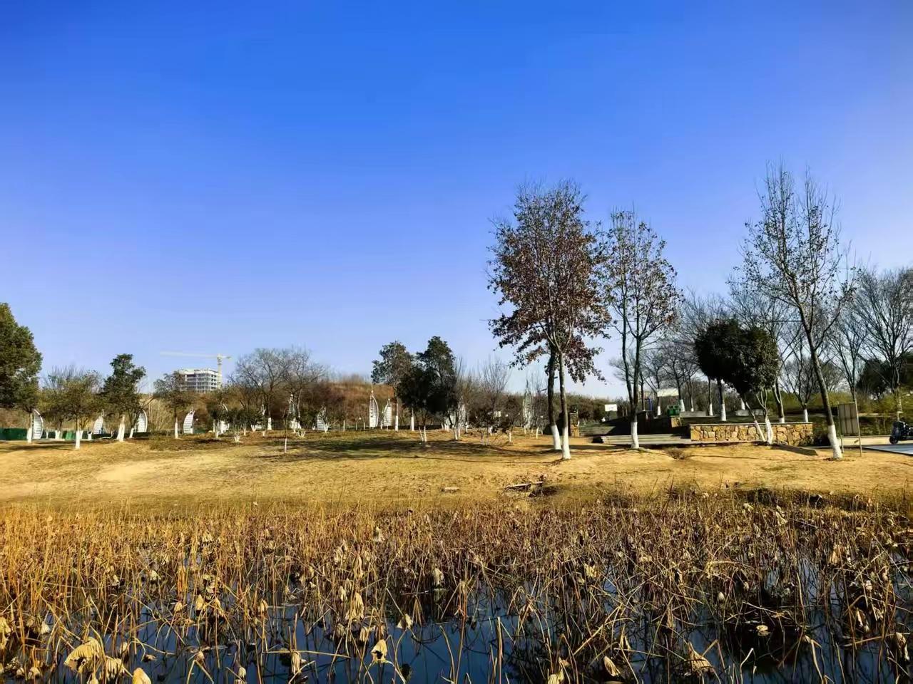 以为退休就享福，真闲下来我却慌了。原以为熬到退休就能松口气，可真不用赶点上班了，