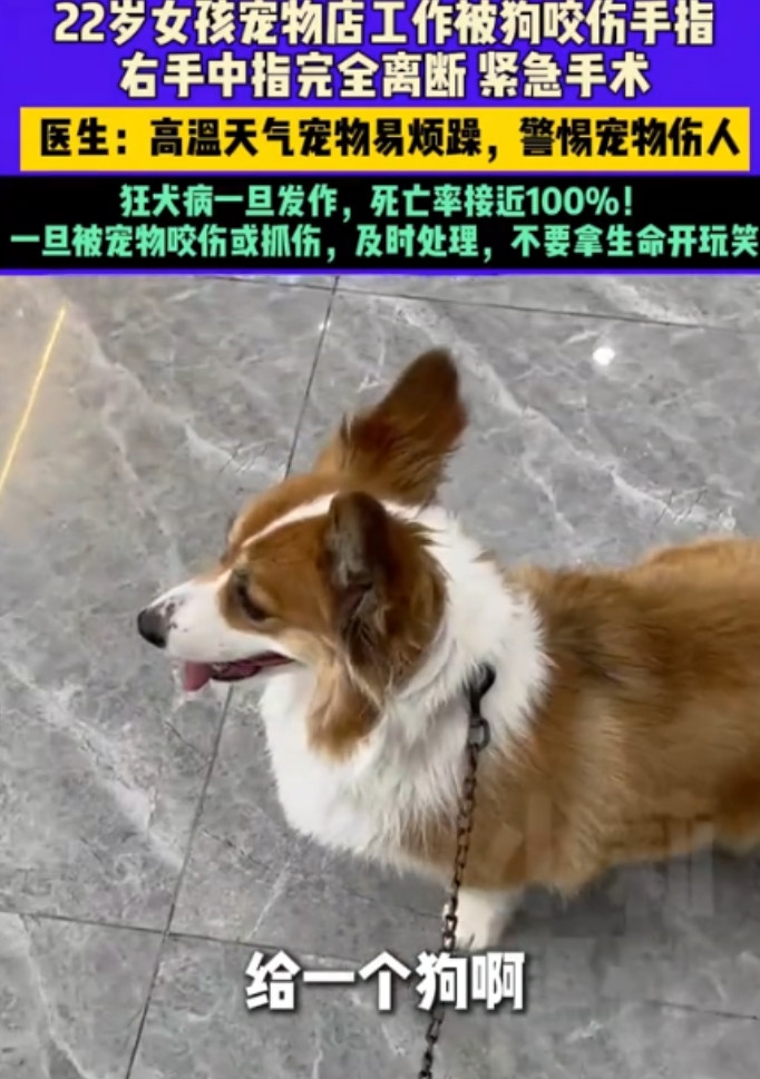 “太吓人了！”河南郑州，一22岁女子在宠物店给柯基洗澡时，没曾想，它竟然突然朝着