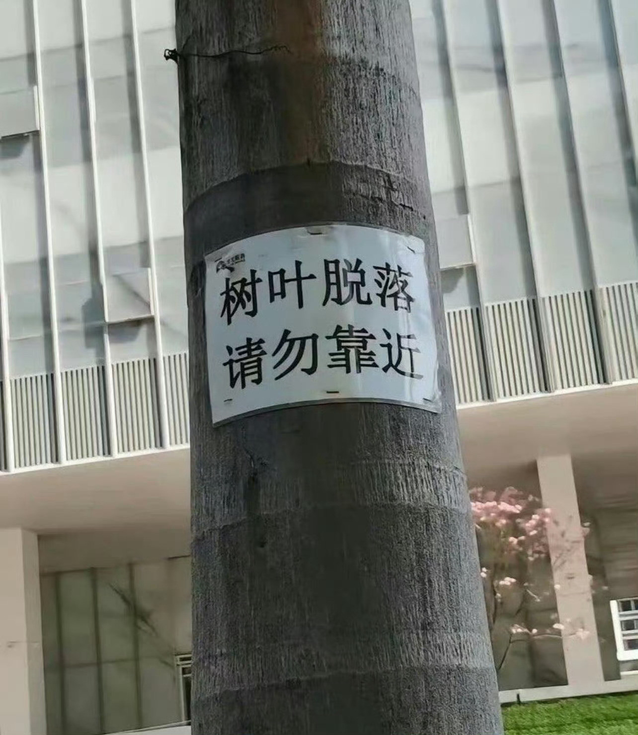 看到提示我不以为然，看到树叶惊呆了。