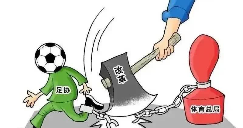 我看了一下《体育法》，足协是对的！足协对社会足球“伸手”并非越权，而是法定职