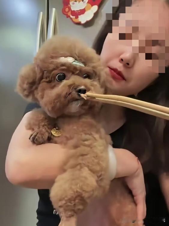 看到这两张图片简直无语了，我不知说什么好。这名女子对待狗狗太好了，边吃边喂，你