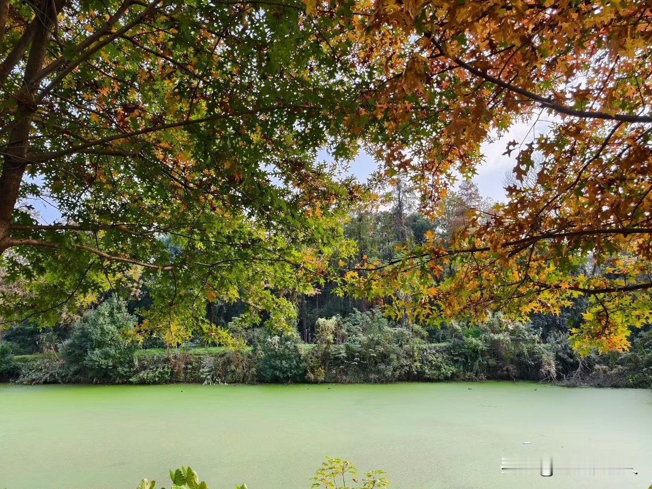 年过花甲以后，老人想过自由自在的生活，应该是什么样子的？人老了，年过花甲以后