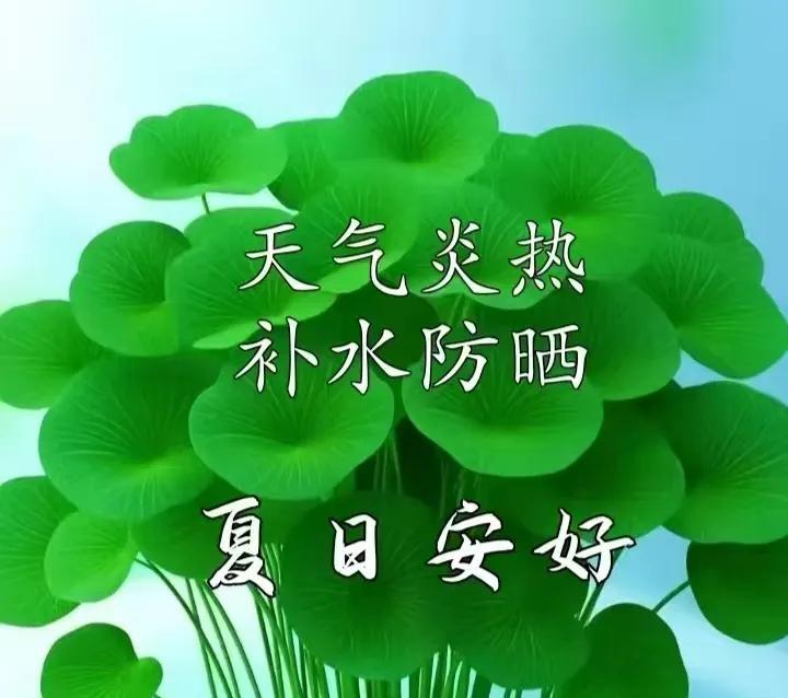 愉快的清晨真诚的祝福愿快乐朝朝夕夕愿好运日日相依早