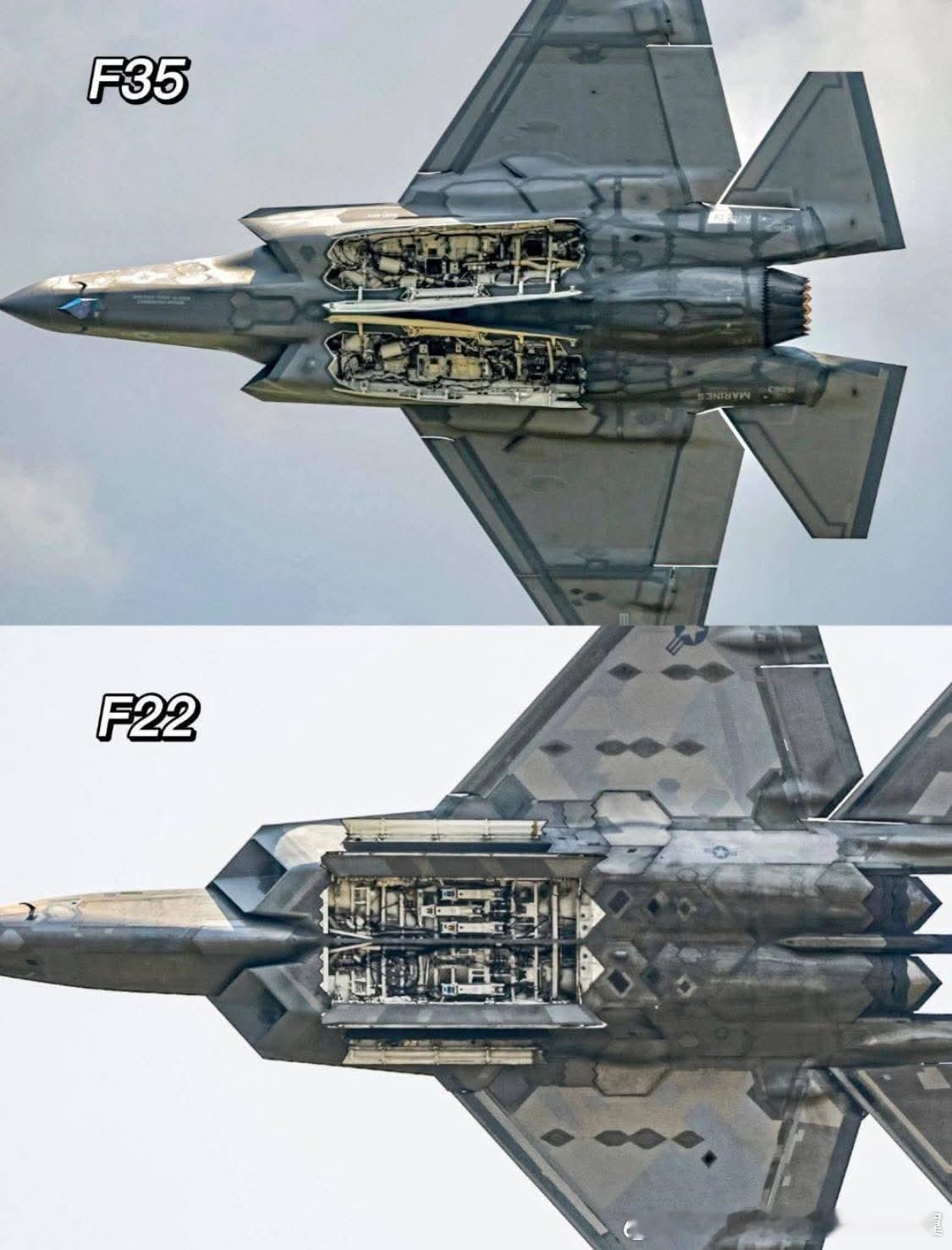 F-35C和F-22A弹舱对比，F-35C的更深可容纳2000磅弹药，没有侧弹仓