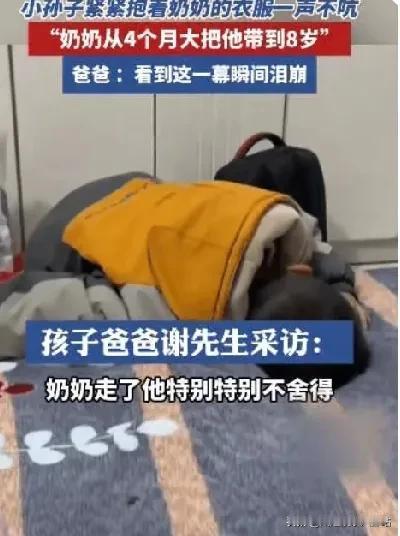 河南南阳一个8岁娃，孩子从4个月大就是奶奶带大的，奶奶走的前一晚，娃不吵